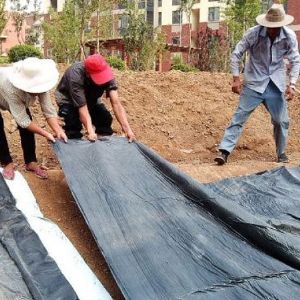 覆膜型膨润土防水毯